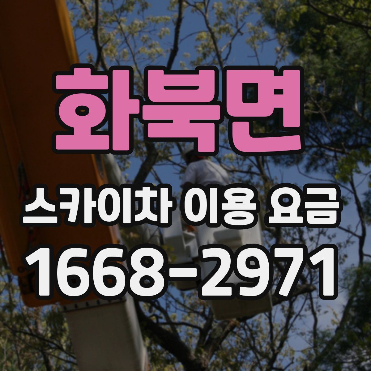 화북면 스카이차 이용 요금