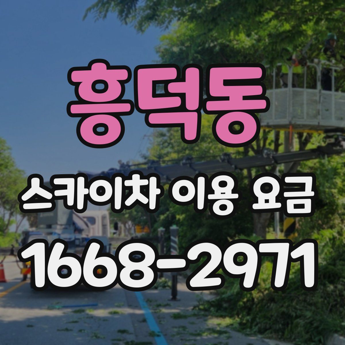 흥덕동 스카이차 이용 요금