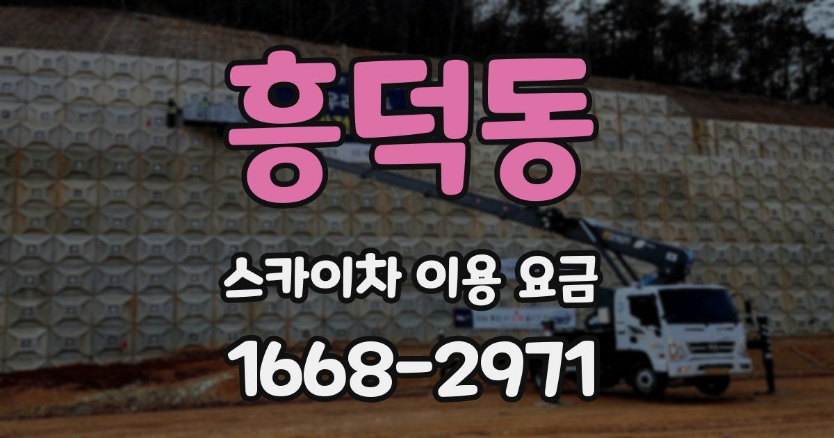 흥덕동 스카이차 이용 요금