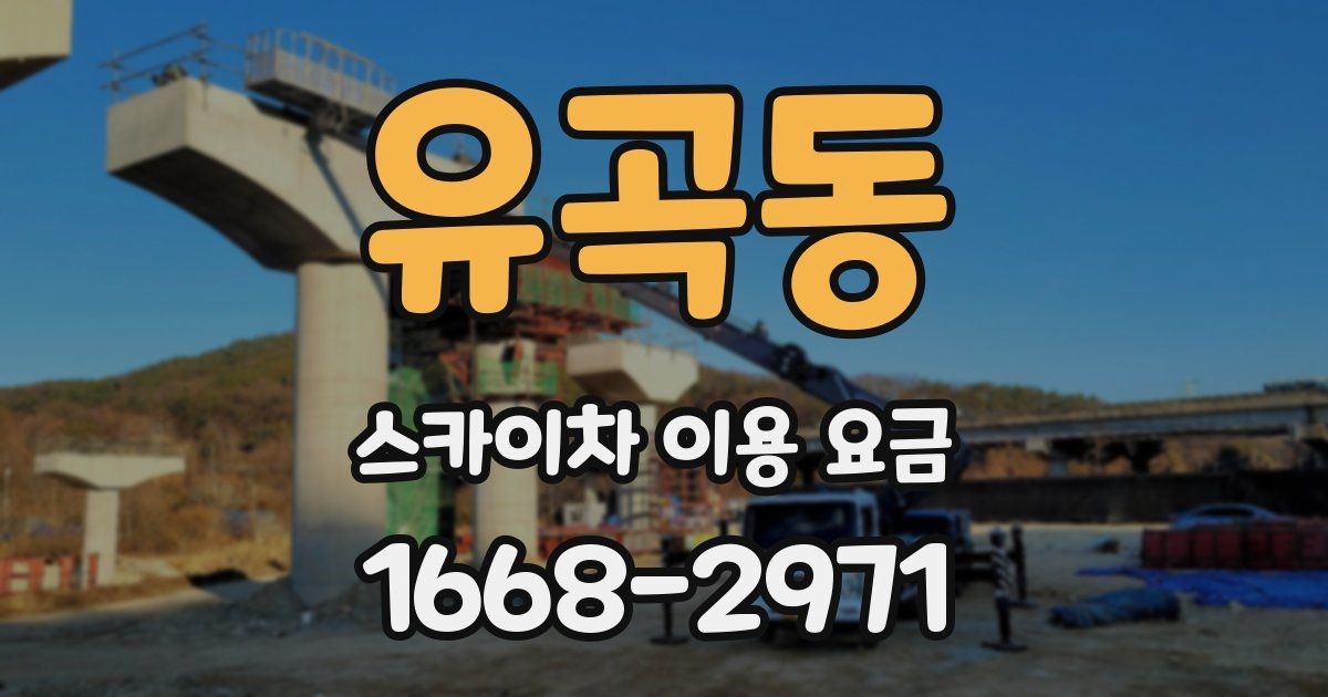 유곡동 스카이차 이용 요금