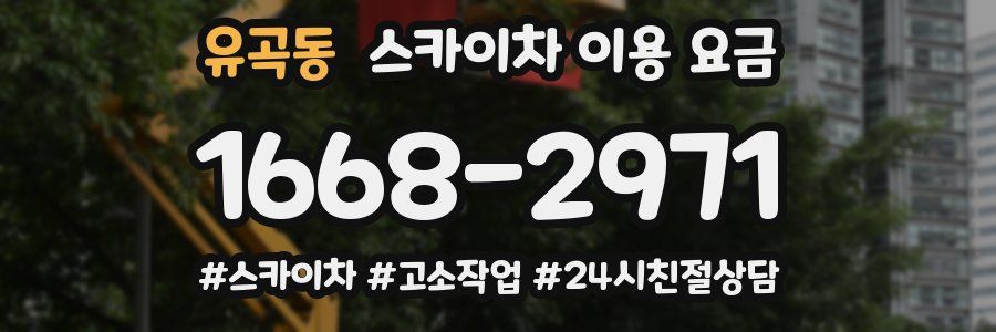 유곡동 스카이차 이용 요금