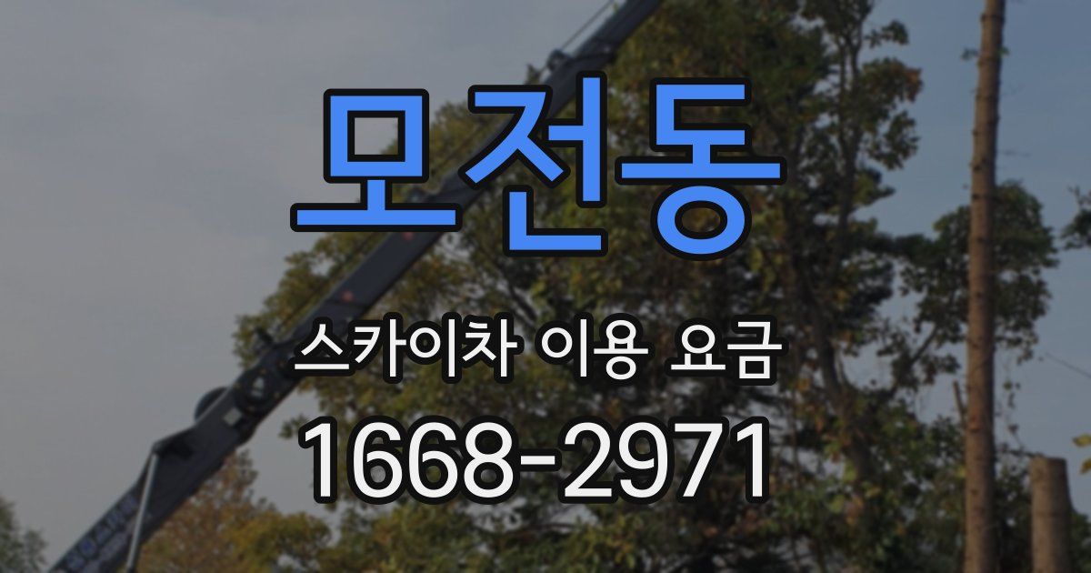 모전동 스카이차 이용 요금