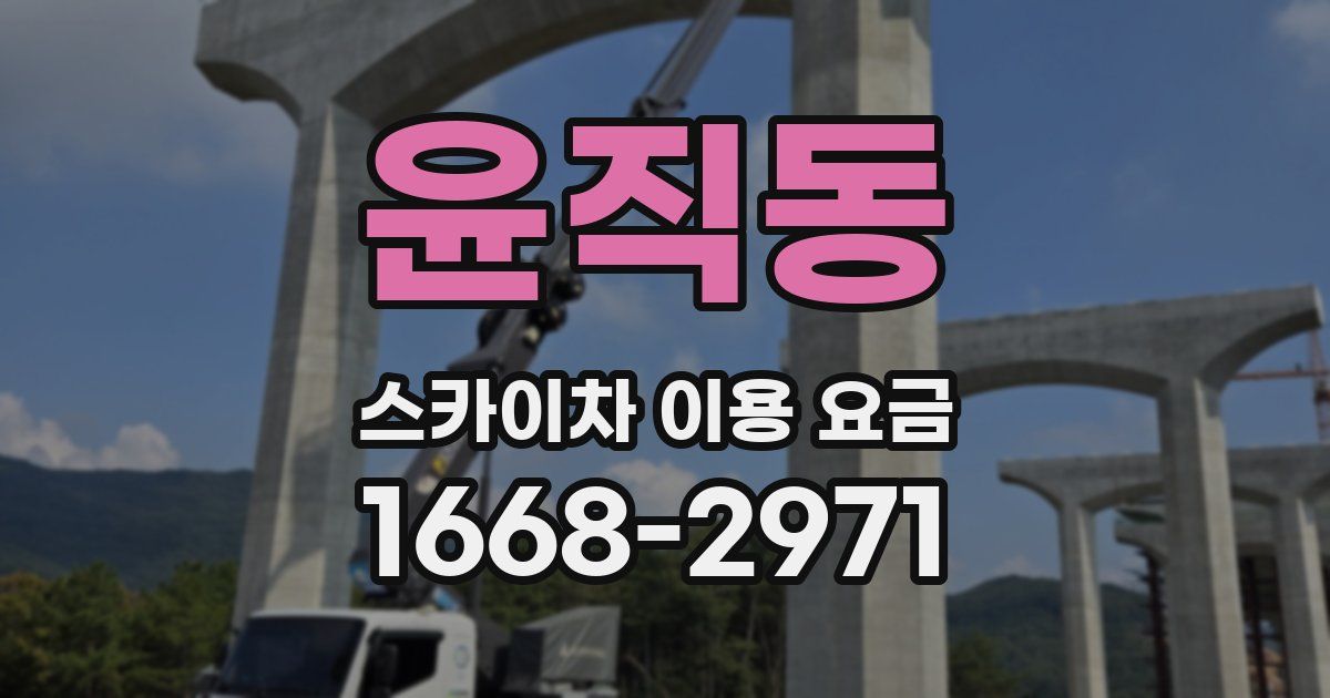 윤직동 스카이차 이용 요금