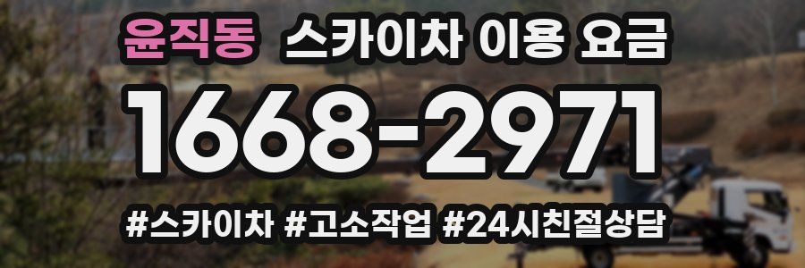 윤직동 스카이차 이용 요금