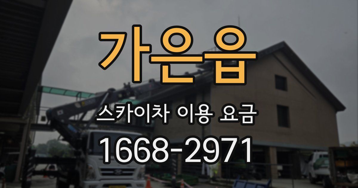 가은읍 스카이차 이용 요금