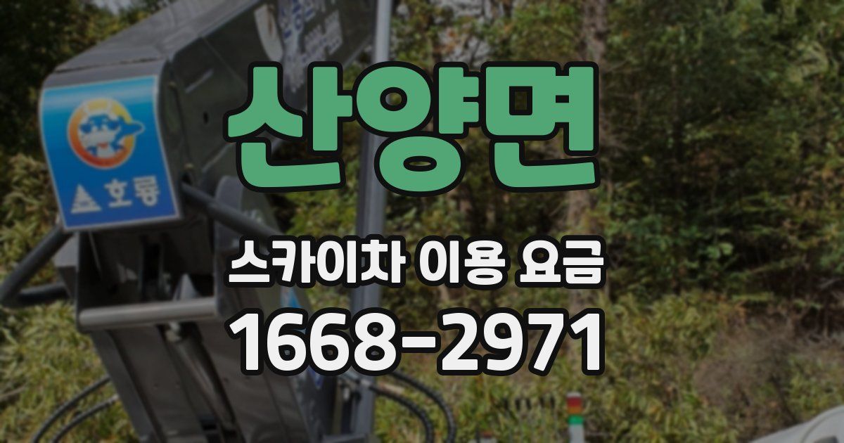 산양면 스카이차 이용 요금