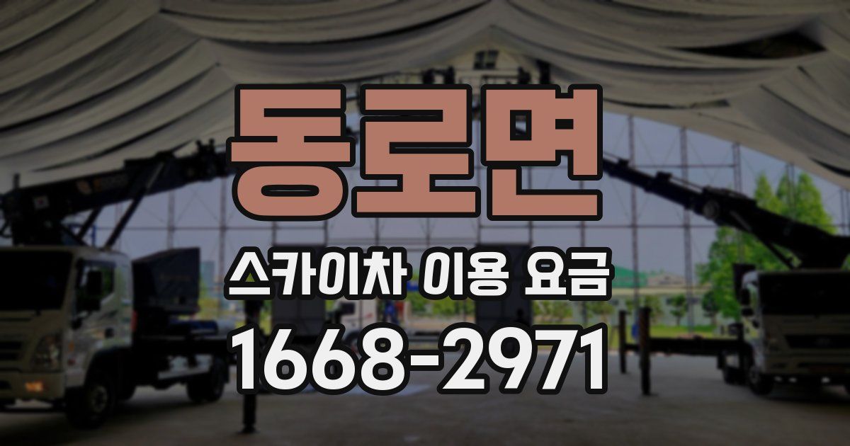 동로면 스카이차 이용 요금