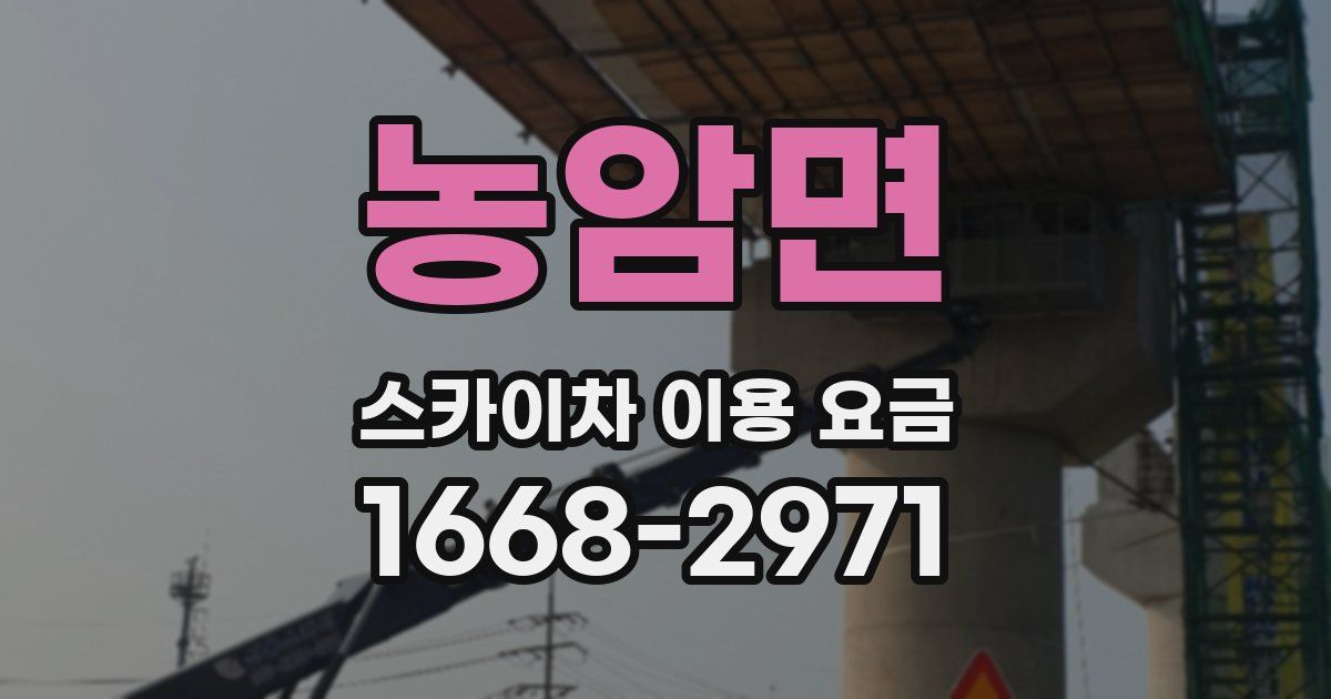 농암면 스카이차 이용 요금