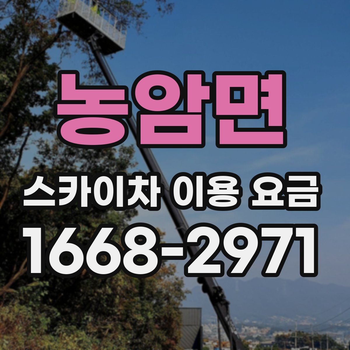 농암면 스카이차 이용 요금