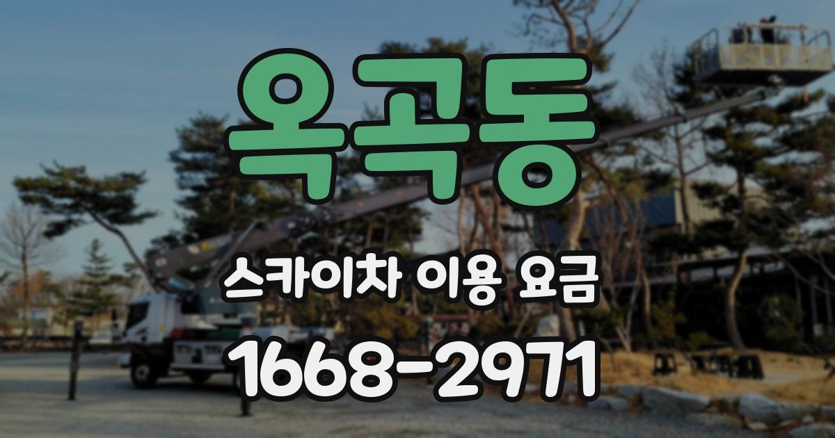 옥곡동 스카이차 이용 요금