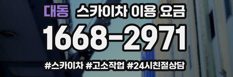 대동 스카이차 이용 요금