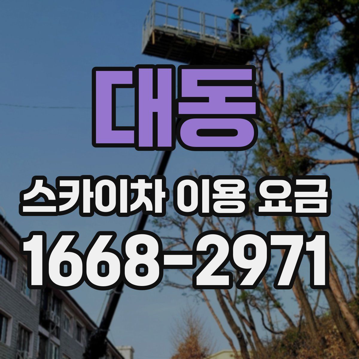 대동 스카이차 이용 요금