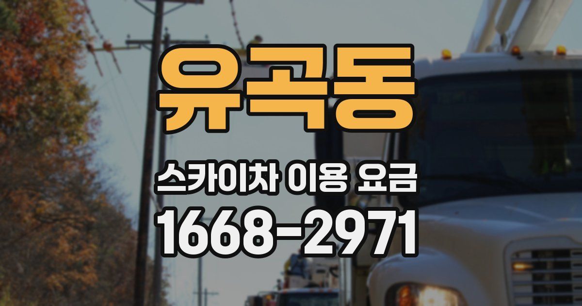 유곡동 스카이차 이용 요금