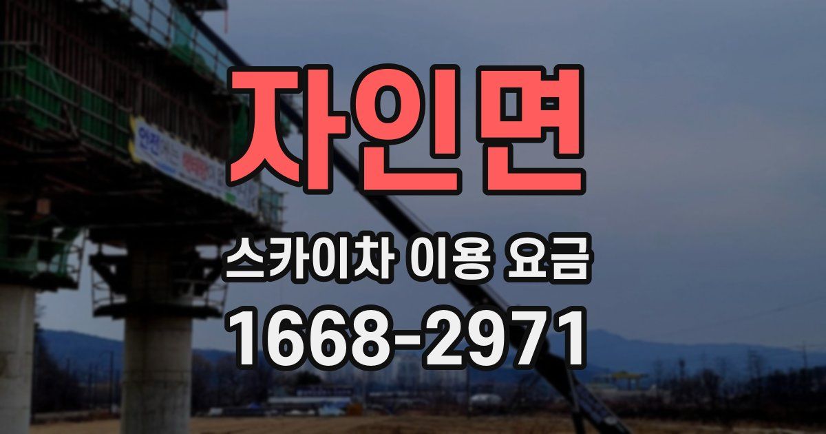 자인면 스카이차 이용 요금