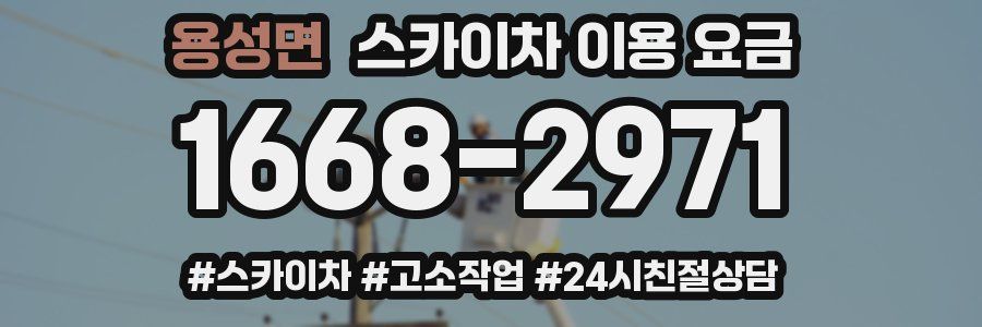 용성면 스카이차 이용 요금