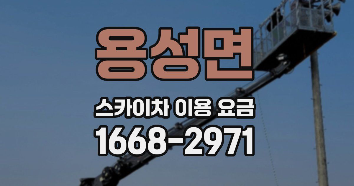 용성면 스카이차 이용 요금