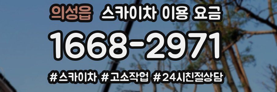 의성읍 스카이차 이용 요금