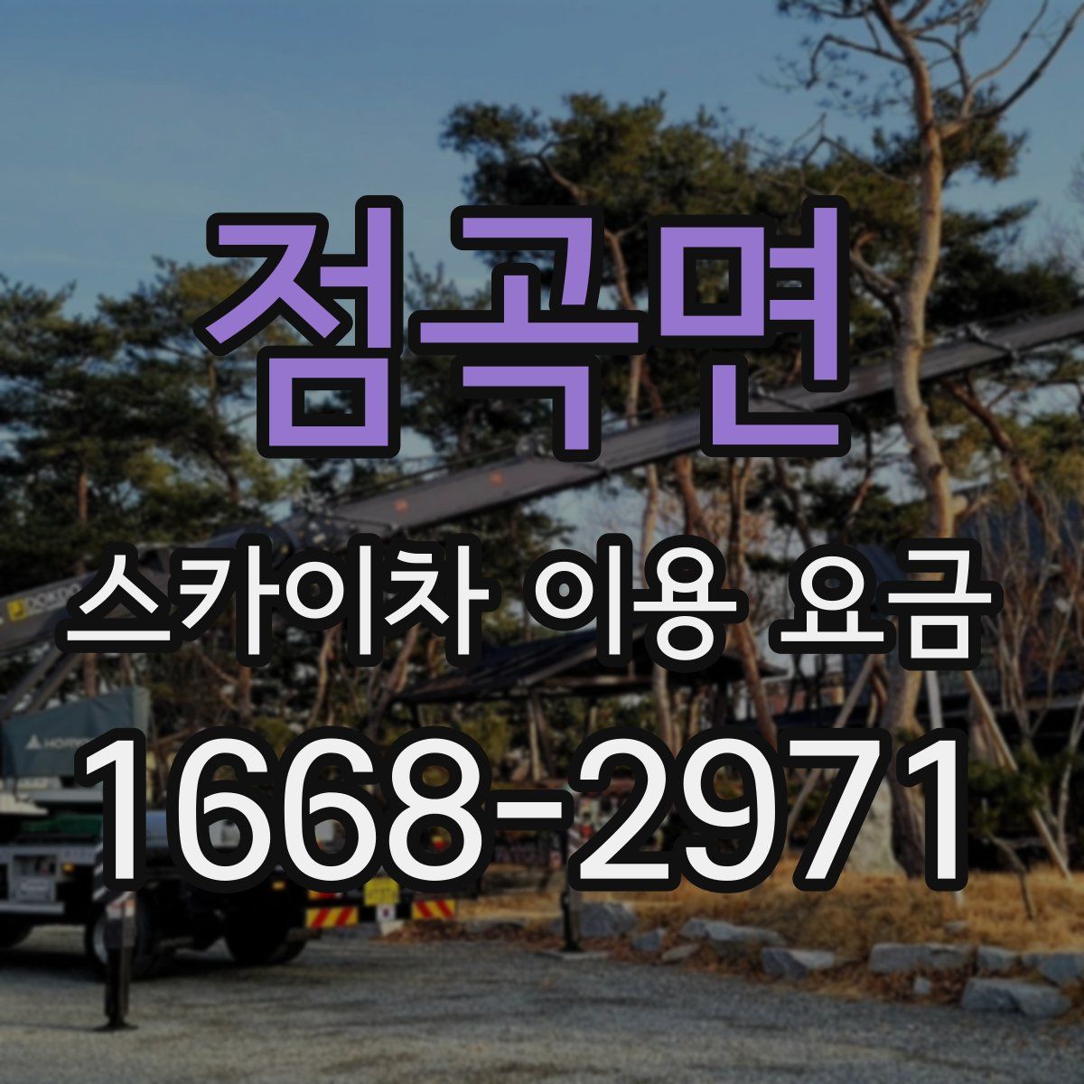 점곡면 스카이차 이용 요금