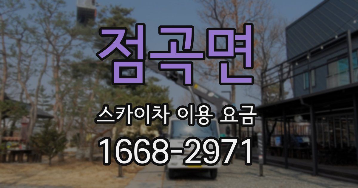 점곡면 스카이차 이용 요금
