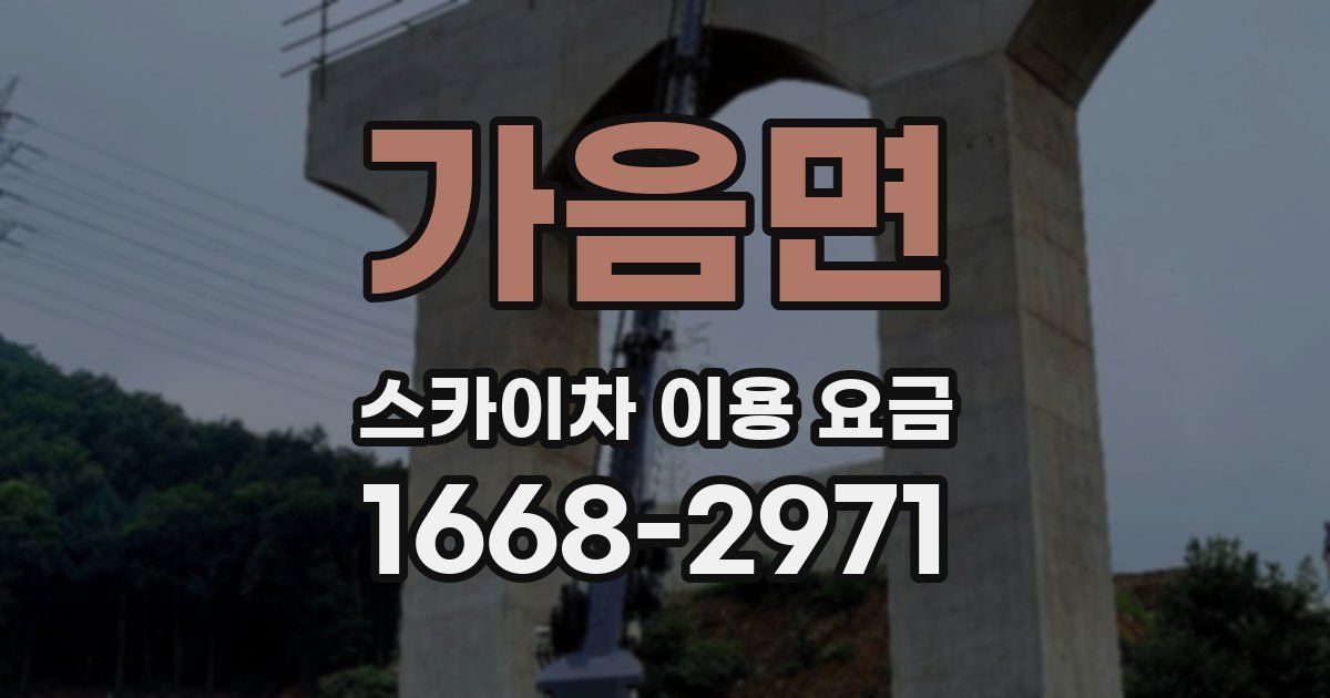 가음면 스카이차 이용 요금