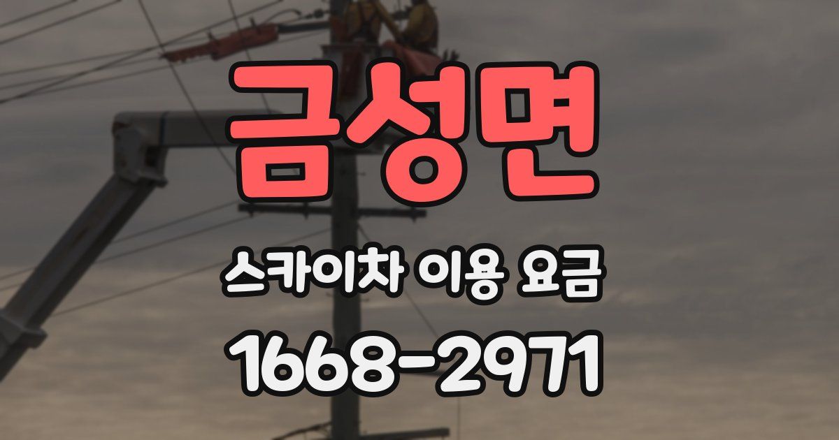 금성면 스카이차 이용 요금