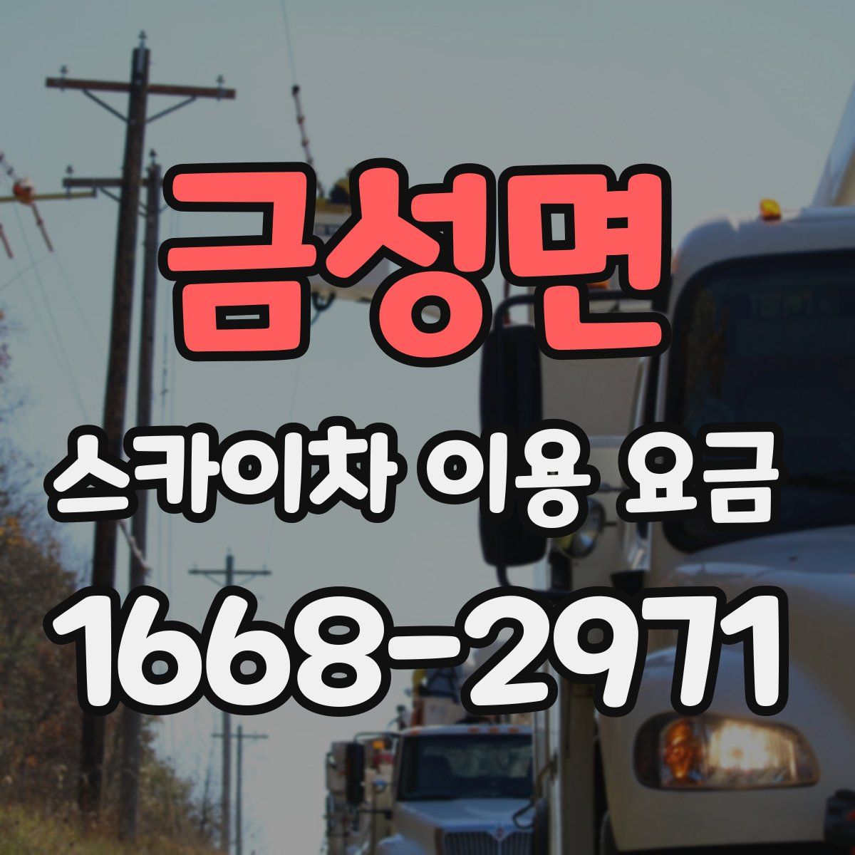 금성면 스카이차 이용 요금