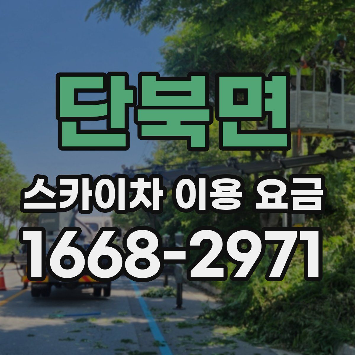 단북면 스카이차 이용 요금