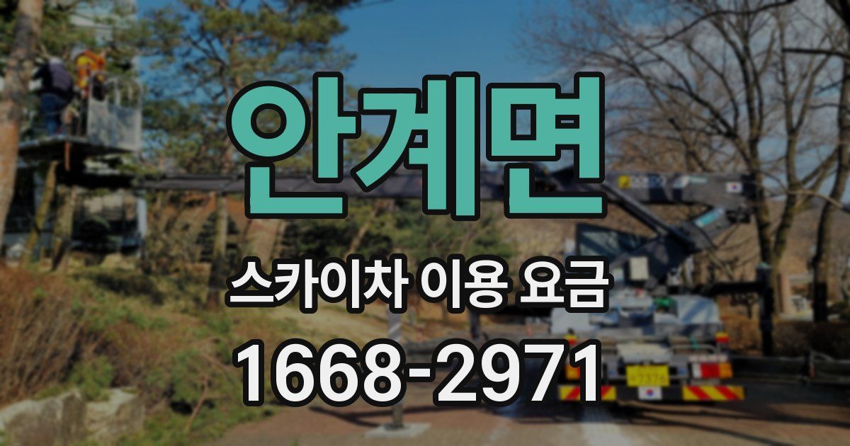 안계면 스카이차 이용 요금