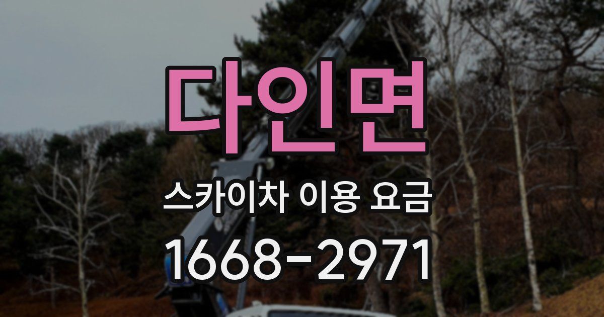 다인면 스카이차 이용 요금