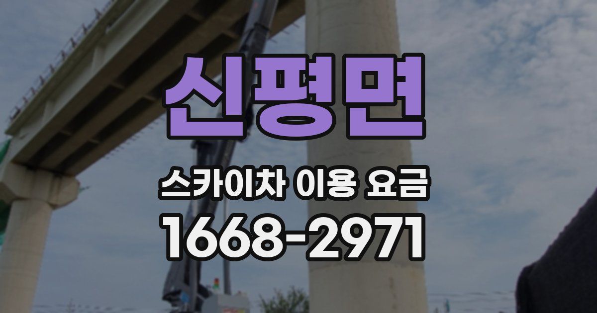 신평면 스카이차 이용 요금