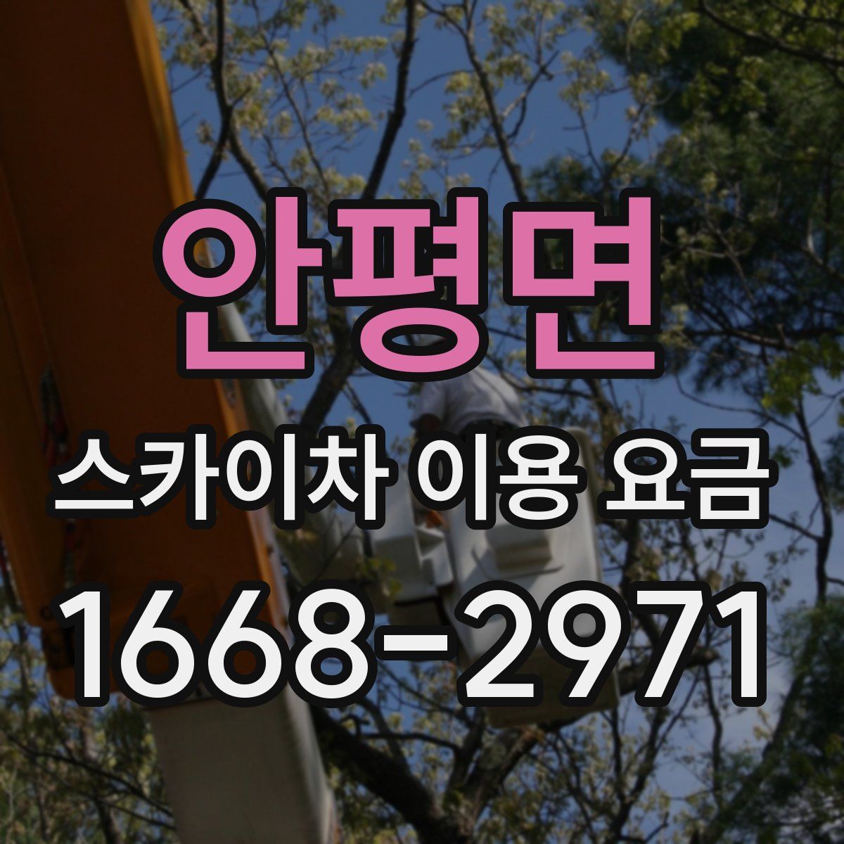 안평면 스카이차 이용 요금