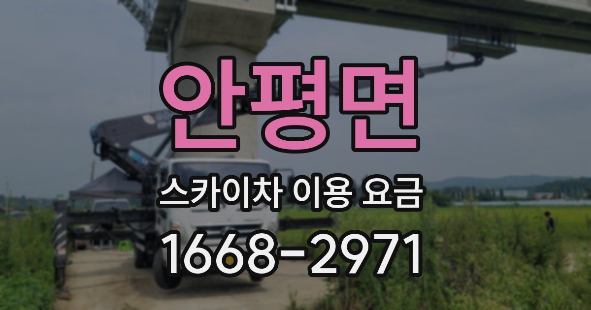 안평면 스카이차 이용 요금