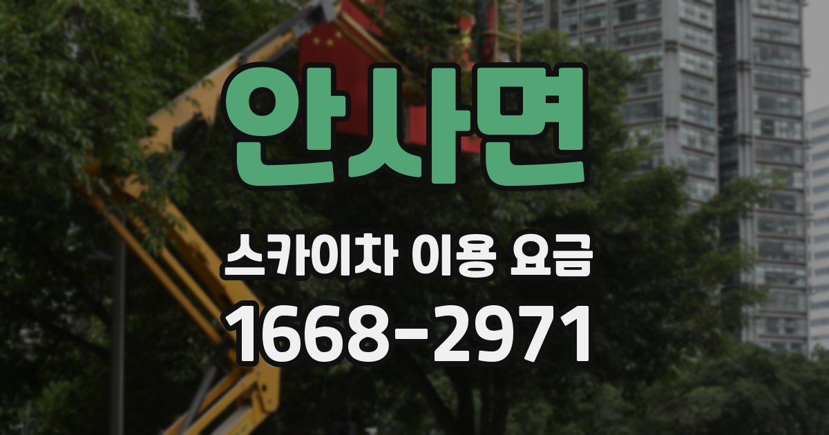 안사면 스카이차 이용 요금