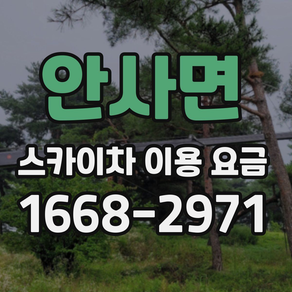 안사면 스카이차 이용 요금