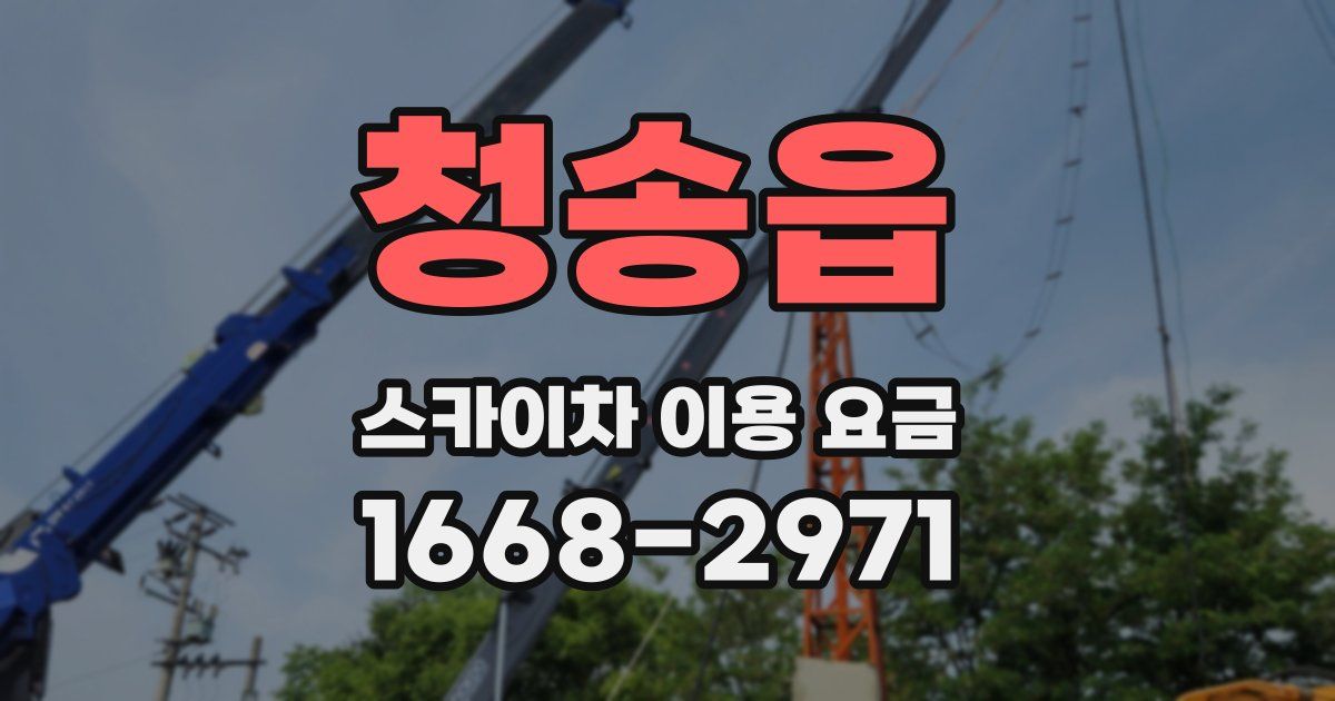 청송읍 스카이차 이용 요금
