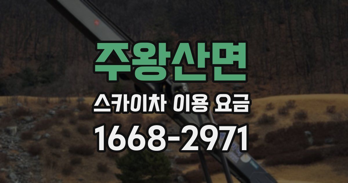 주왕산면 스카이차 이용 요금