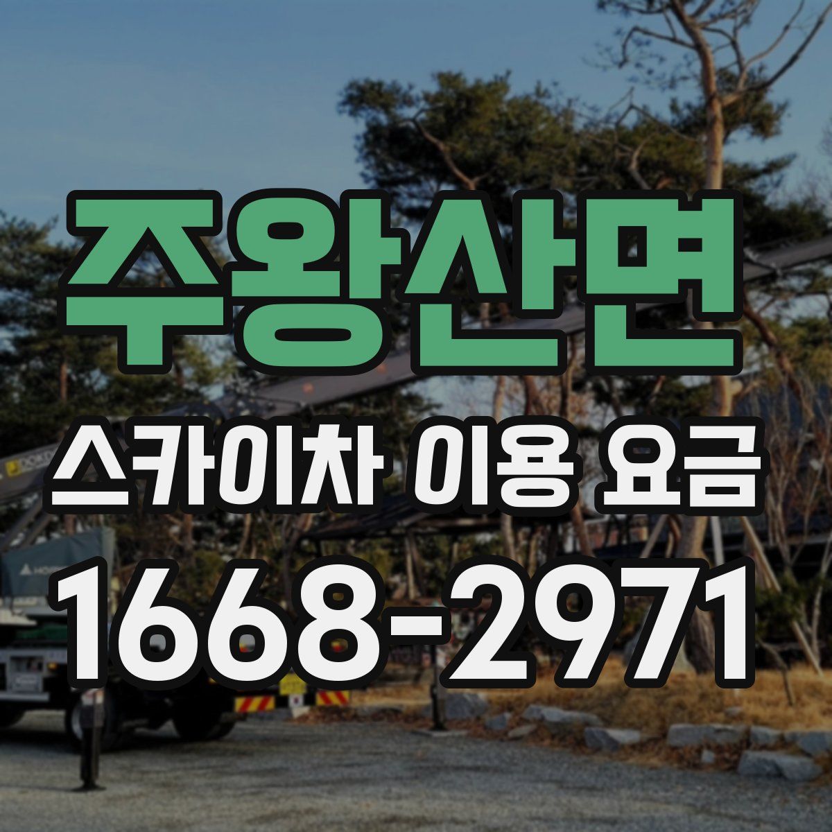 주왕산면 스카이차 이용 요금