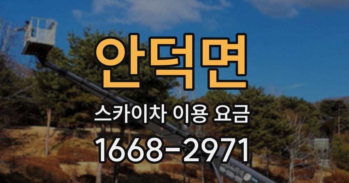 안덕면 스카이차 이용 요금