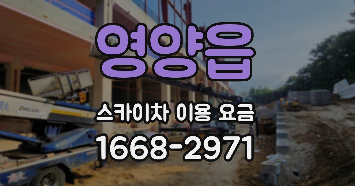 영양읍 스카이차 이용 요금