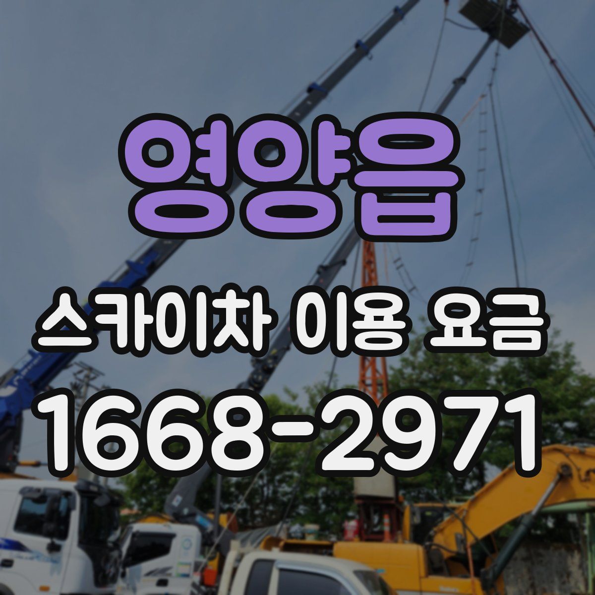 영양읍 스카이차 이용 요금