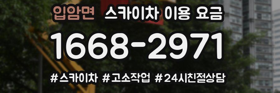 입암면 스카이차 이용 요금