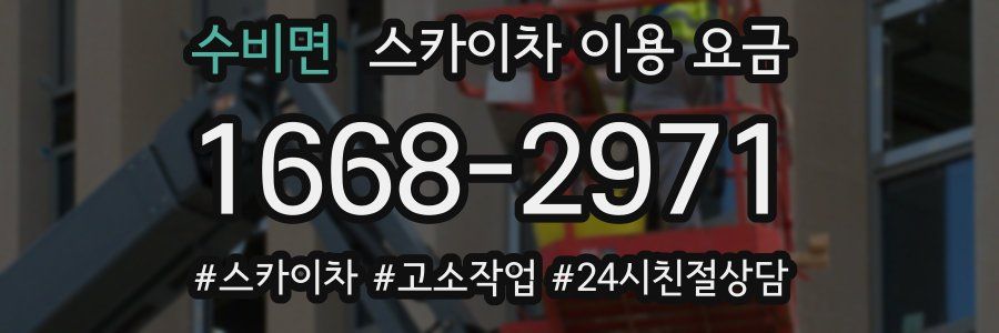 수비면 스카이차 이용 요금