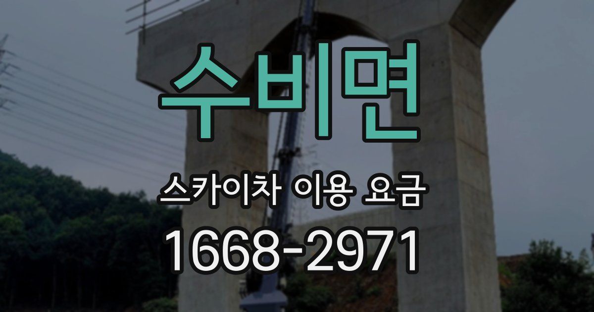 수비면 스카이차 이용 요금