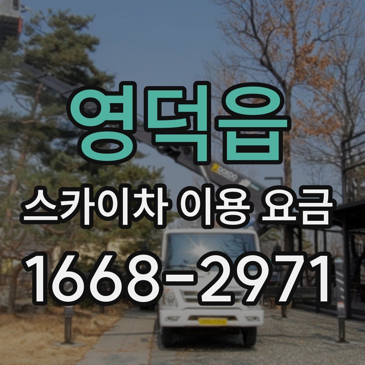 영덕읍 스카이차 이용 요금 비교 전 살펴볼 항목