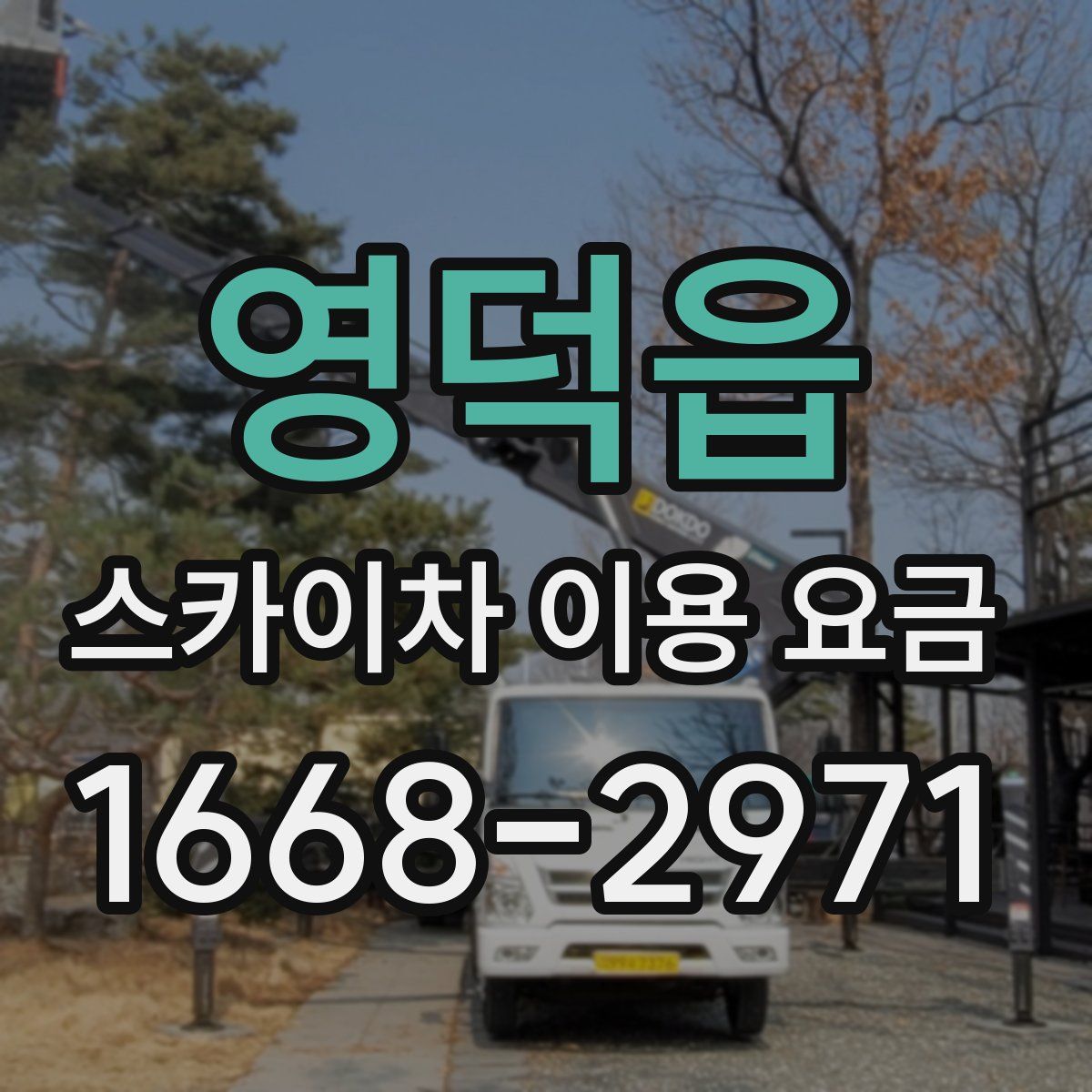 영덕읍 스카이차 이용 요금