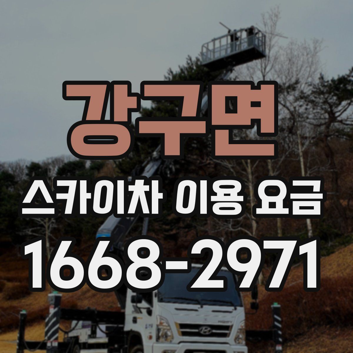 강구면 스카이차 이용 요금