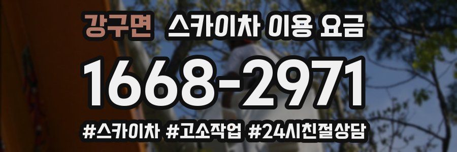 강구면 스카이차 이용 요금