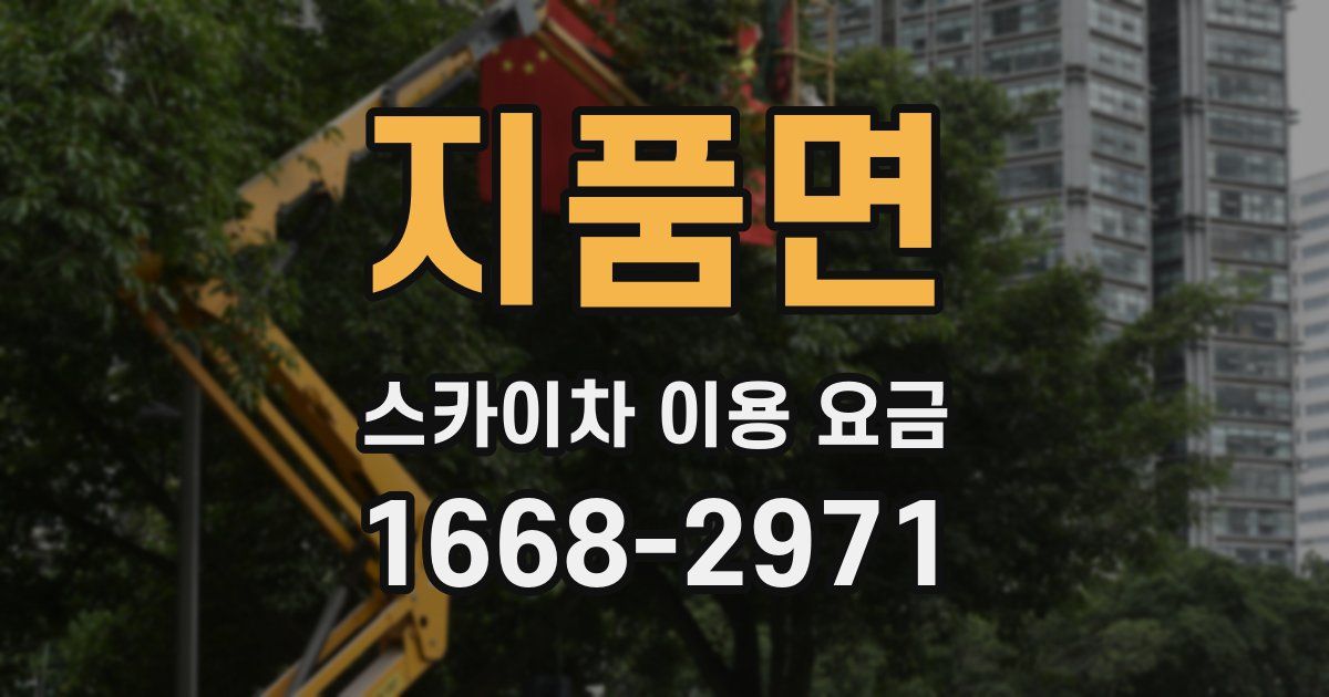 지품면 스카이차 이용 요금