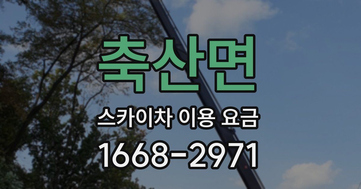 축산면 스카이차 이용 요금
