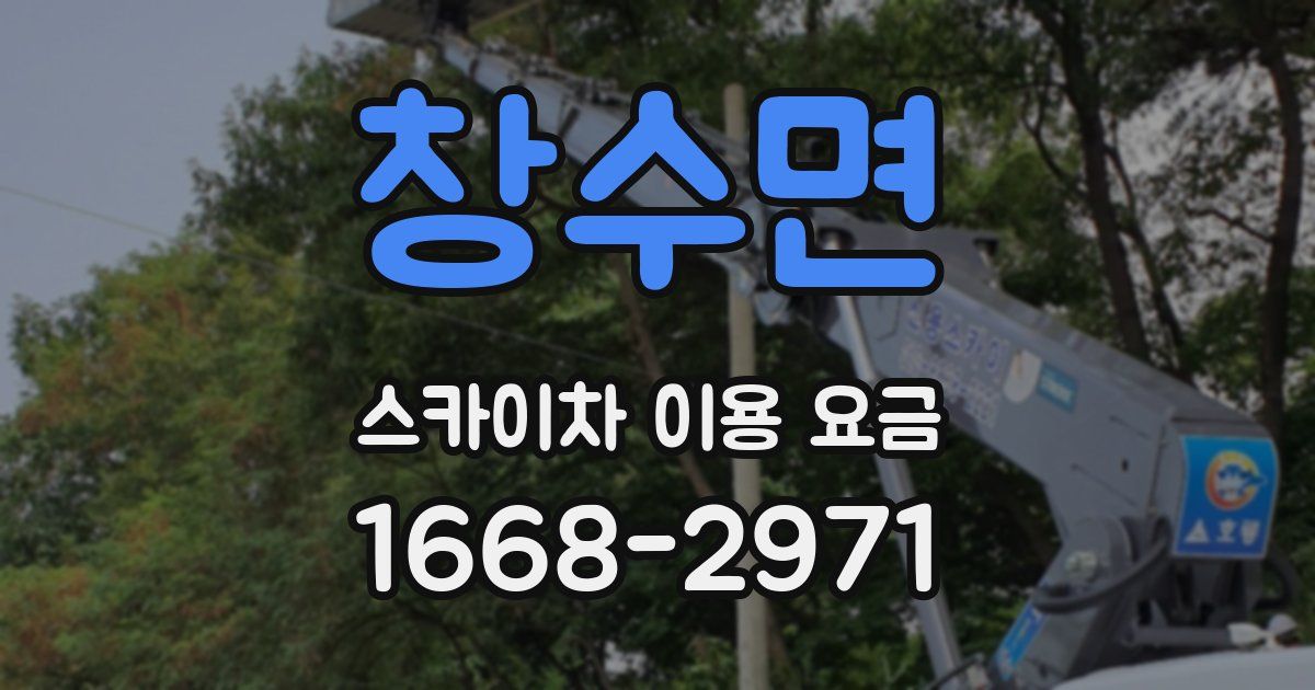 창수면 스카이차 이용 요금